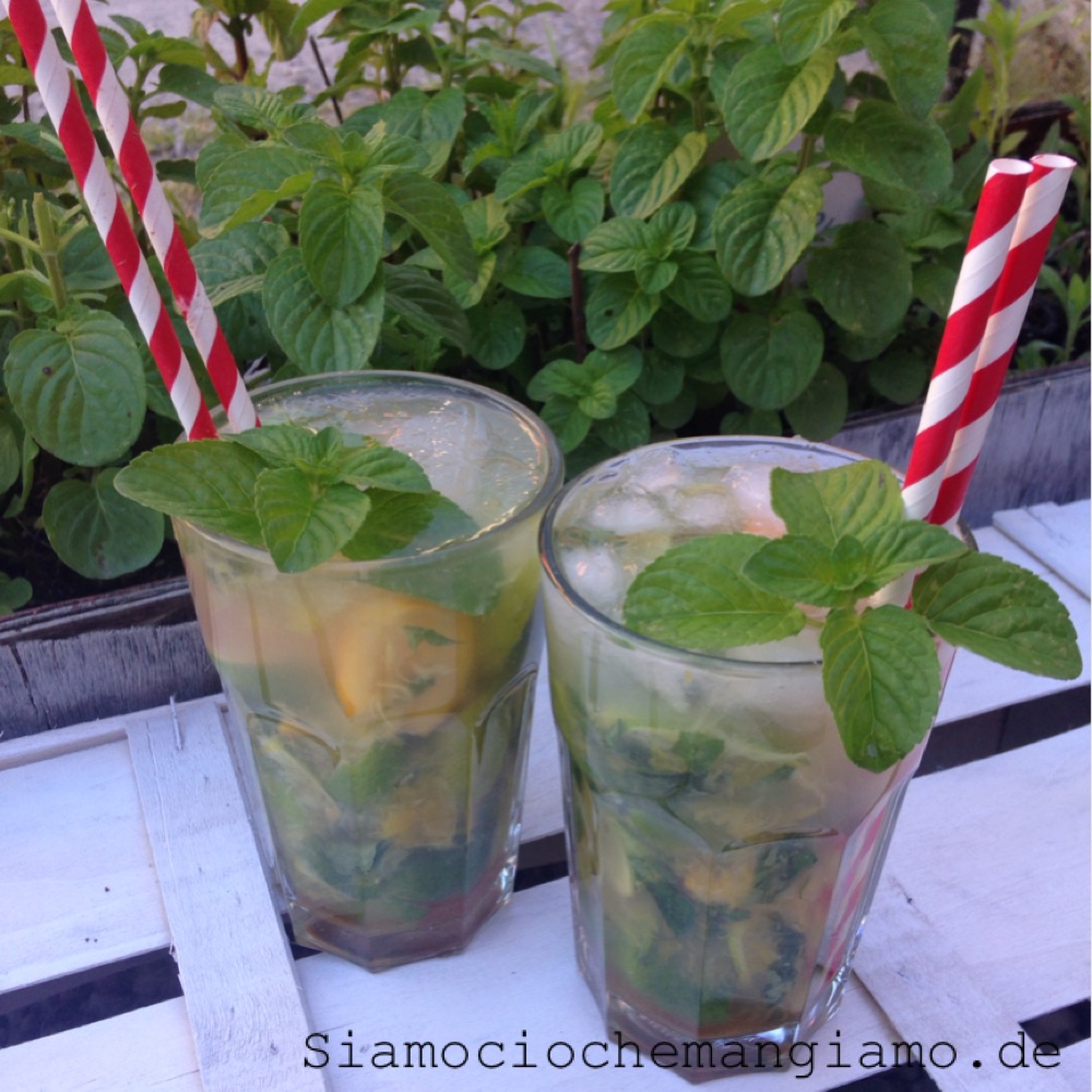 Mojito - Du bist was du isst | Food Blog