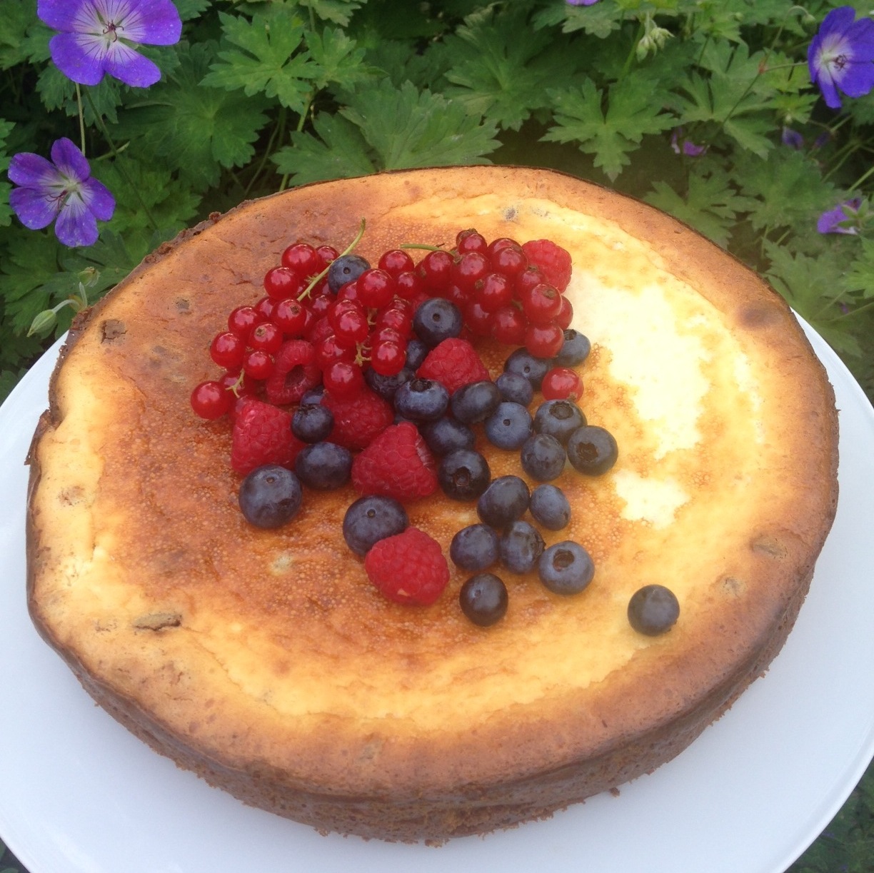 New York Cheesecake - Siamo ciò che mangiamo | Du bist was du isst - Food Blog